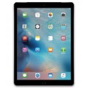 iPad Pro 12.9 (2nd Gen)