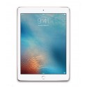 iPad Pro 9.7 (2nd Gen)